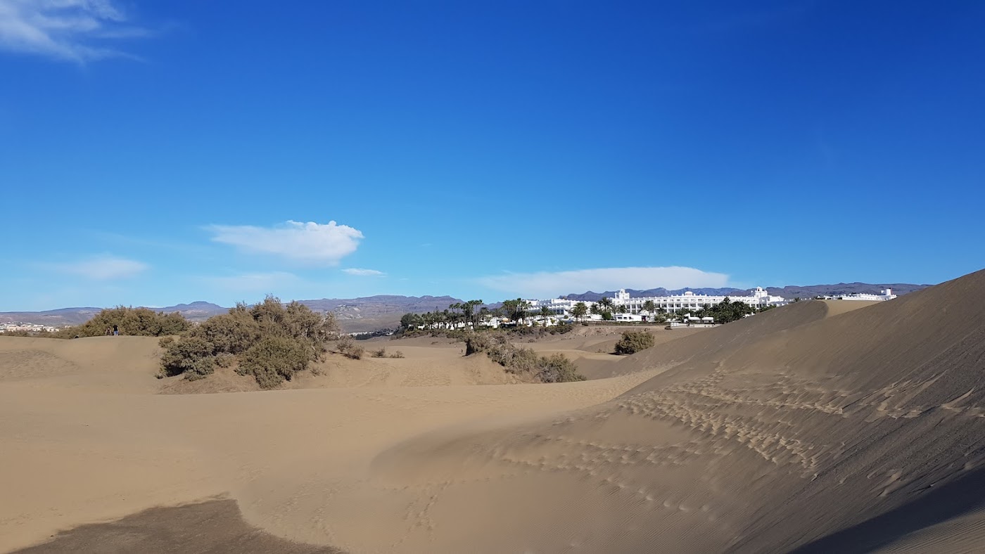 Renting a Car in the Canary Islands: The Complete Guide