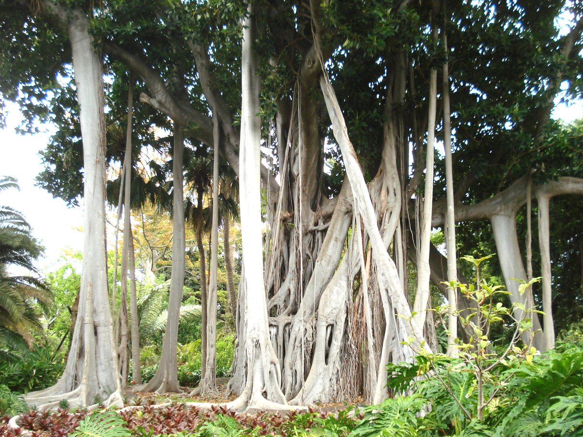 Botanical Garden