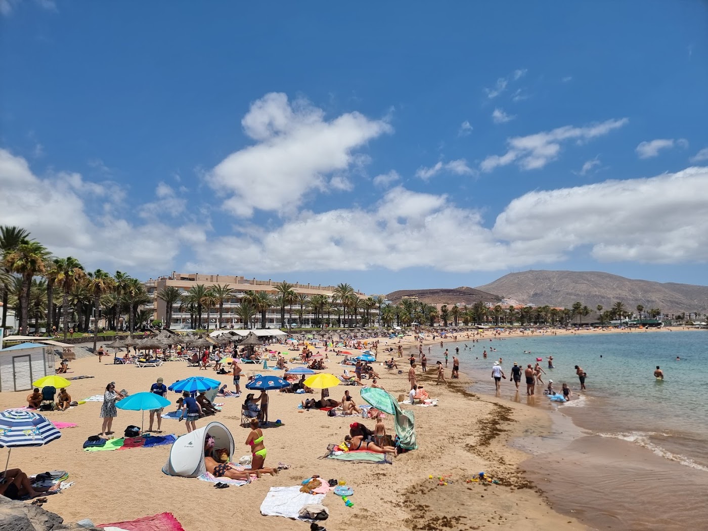 Tenerife vs Gran Canaria: Which Island Should You Visit?